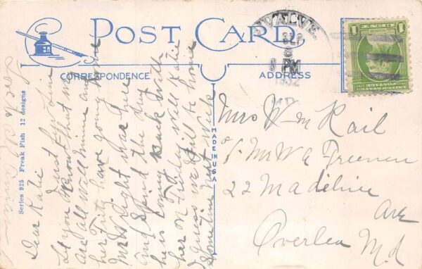 Bivalve Maryland Fishing Exaggeration Greetings Vintage Postcard AA84113 - Image 2