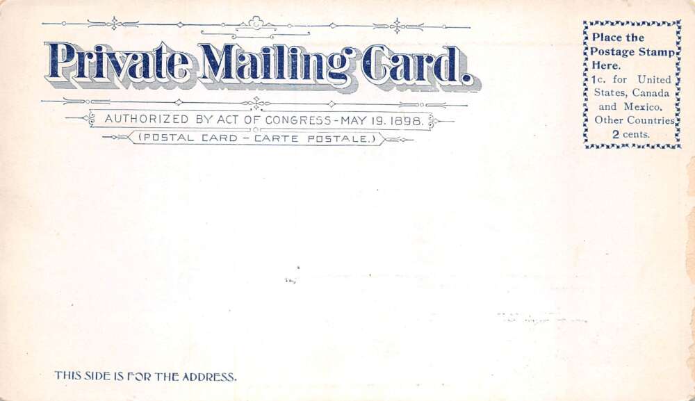 New Orleans Louisiana Audubon Park Live Oak Private Mail Postcard AA84263 - Image 2