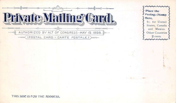 New Orleans Louisiana Howard Memorial Library Private Mail Postcard AA84264 - Image 2