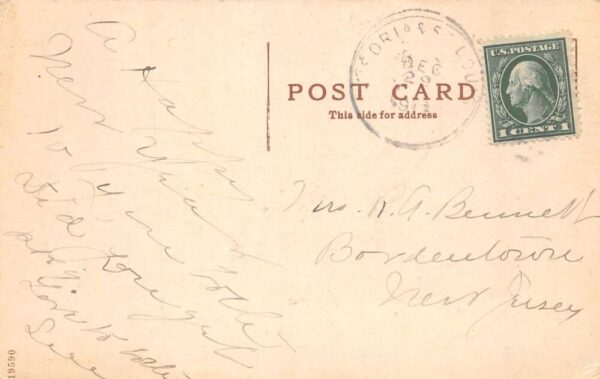 Havana Illinois The Bald Eagle Steamer Ship Vintage Postcard AA84283 - Image 2