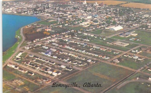 Bonnyville Alaska Birds Eye View Vintage Postcard AA75984