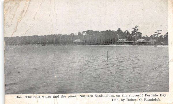 Perdido Bay Florida Natures Sanitarium Scenic View Vintage Postcard AA76021