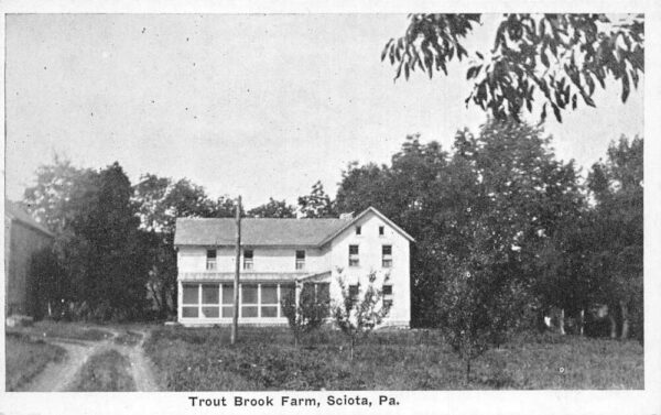 Sciota Pennsylvania Trout Brook Farm, B/W Photo Print Vintage Postcard U14541