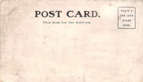 Poughkeepsie New York Apparatus Of Booth Hose Co. No.2, Undivided Back PC U14562 - Image 2