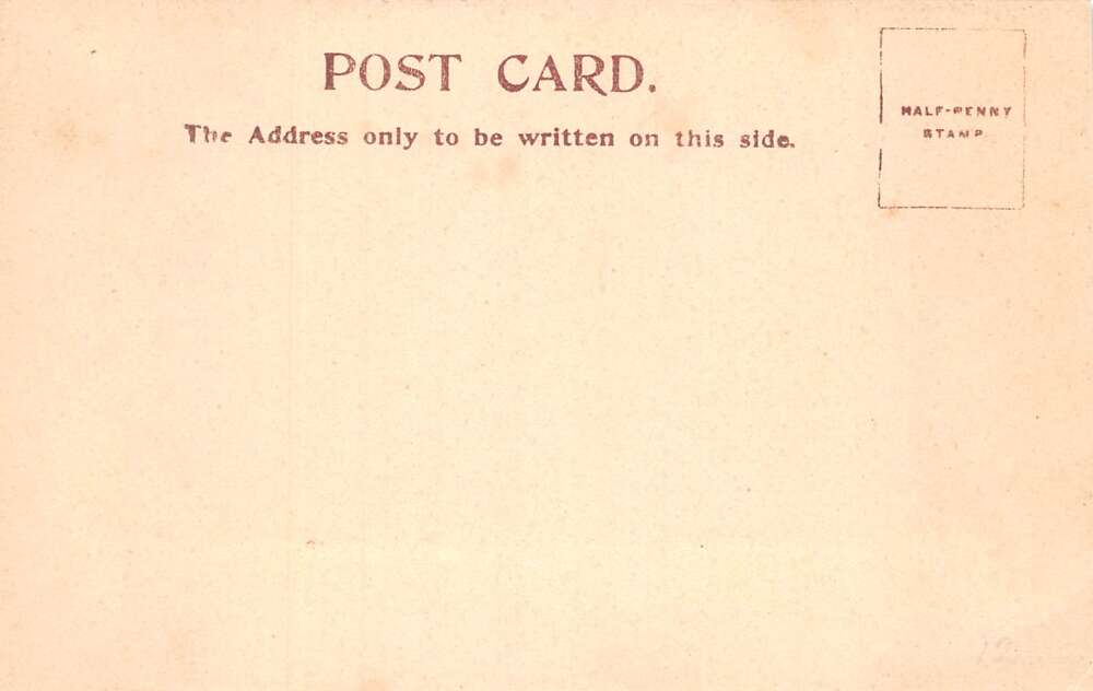 Maharaja's Elephants Street Scene Vintage Postcard AA76869 - Image 2