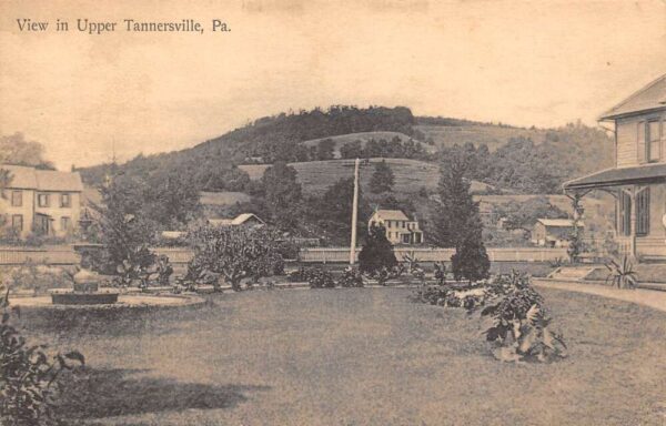 Upper Tannersville Pennsylvania Town View, Sepia Tone Lithograph PC U15053