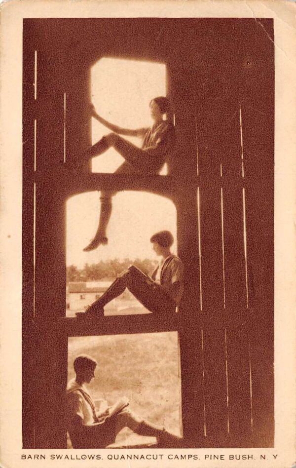 Pine Bush New York Quannacut Camps, Barn Swallows, Vintage Postcard U15069