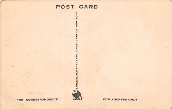 Pine Bush New York Quannacut Camps, Barn Swallows, Vintage Postcard U15069 - Image 2