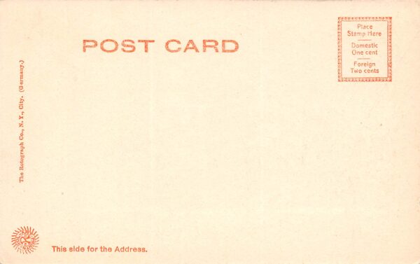 Columbia South Carolina, South Carolina College, Rotograph Co., Postcard U15144 - Image 2