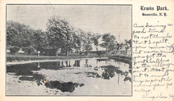 Boonville New York Erwin Park Scenic View Vintage Postcard AA76916