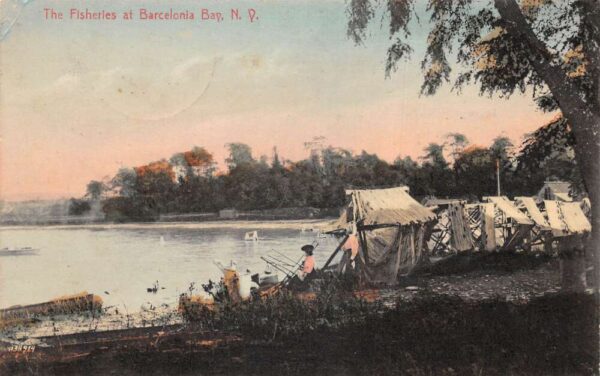 Barcelona Bay New York The Fisheries Scenic View Vintage Postcard AA76919