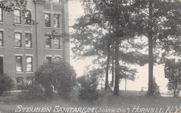Hornell New York Steuben Sanitarium South End Vintage Postcard AA76931