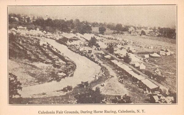 Caledonia New York Fair Grounds Horse Race Track Vintage Postcard AA76946