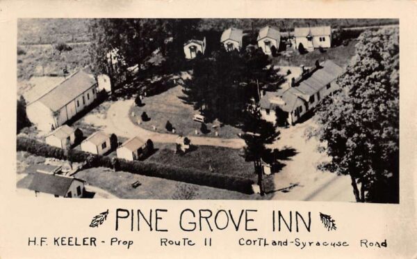 New York ? Pine Grove Inn Birds Eye View Vintage Postcard AA76951