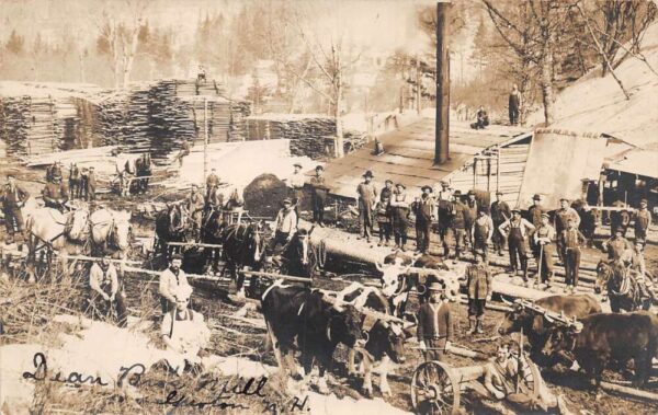 Grafton New Hampshire Logging Camp Real Photo Vintage Postcard AA77154