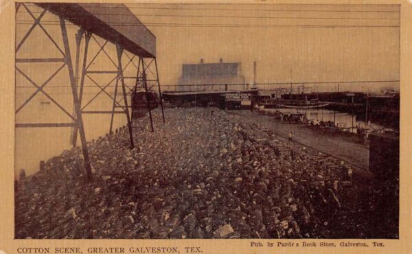 Galveston Texas Cotton Scene Vintage Postcard AA77204