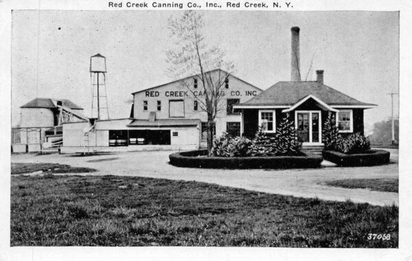 Red Creek New York Red Creek Canning Co Factory Vintage Postcard AA77244