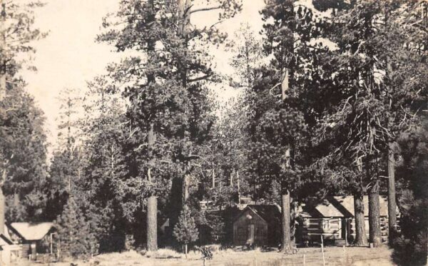 Pineknot California Campground Cabins Real Photo Vintage Postcard AA77343