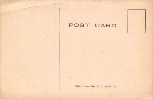 Spencer Iowa J.O. Birdsall's Store, B/W Lithograph Vintage Postcard U15236 - Image 2
