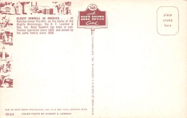 Natchez Mississippi Oldest Sawmill In America, Chrome Vintage Postcard U15272 - Image 2