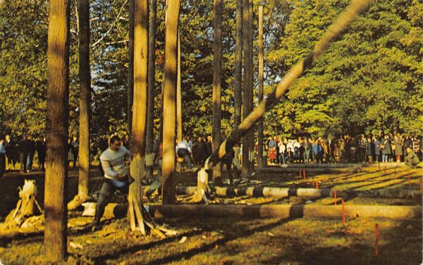 Elkins West Virginia Mountain State Forest Festival Annual Tree Cutting Contest, PCU15277