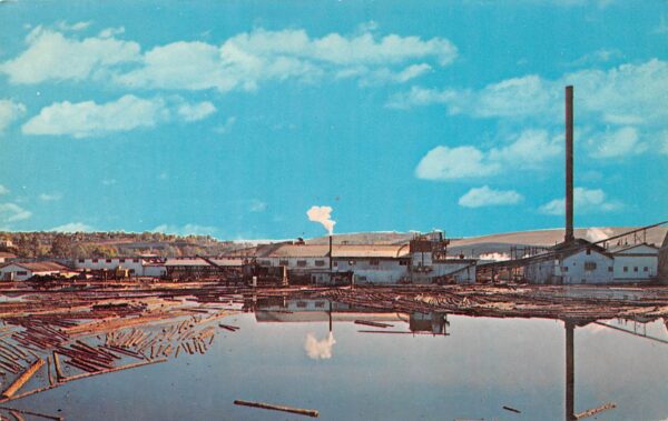 Pendleton Oregon Harris Pine Mills, Chrome, Vintage Postcard U15279