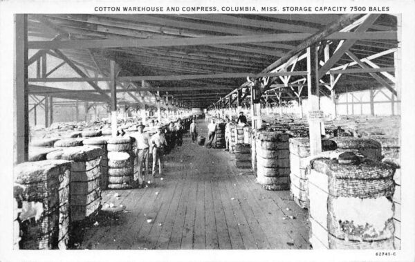 Columbia Mississippi Cotton Warehouse and Compress Vintage Postcard AA77407