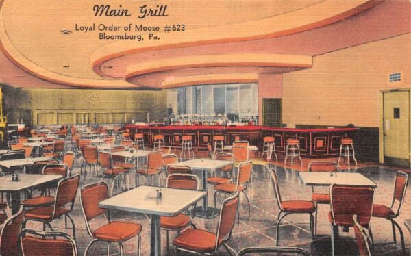 Bloomsburg Pennsylvania Loyal Order of Moose Lodge Main Grill Postcard AA77427