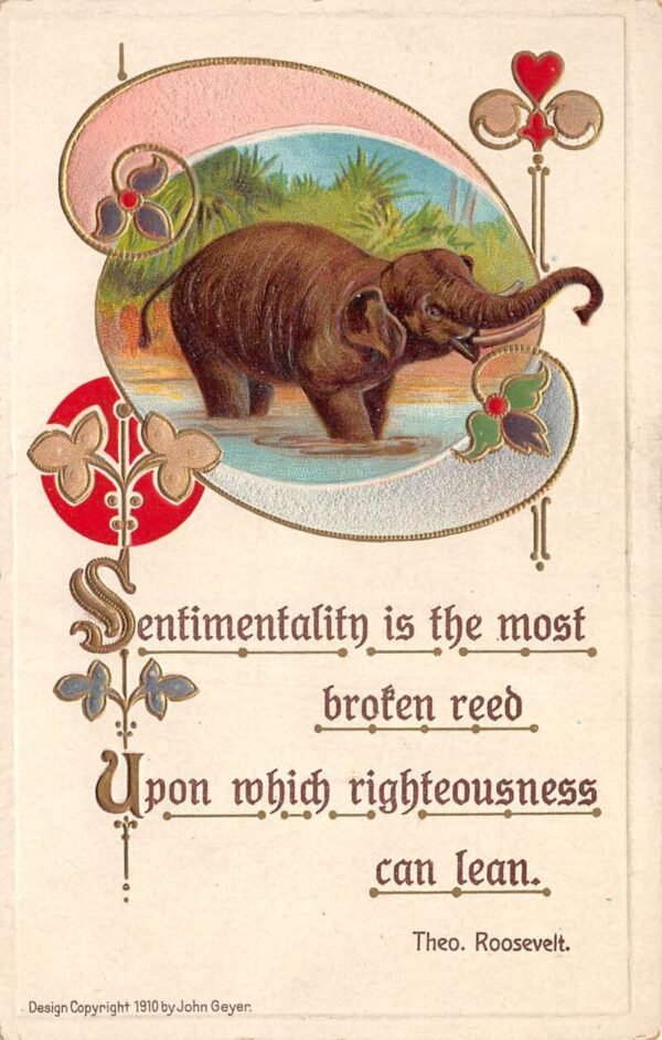 President Theo Roosevelt Quote Elephant Vintage Postcard AA77431
