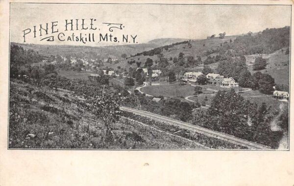 Pine Hill New York Catskill Mts Birds Eye View Vintage Postcard AA77482