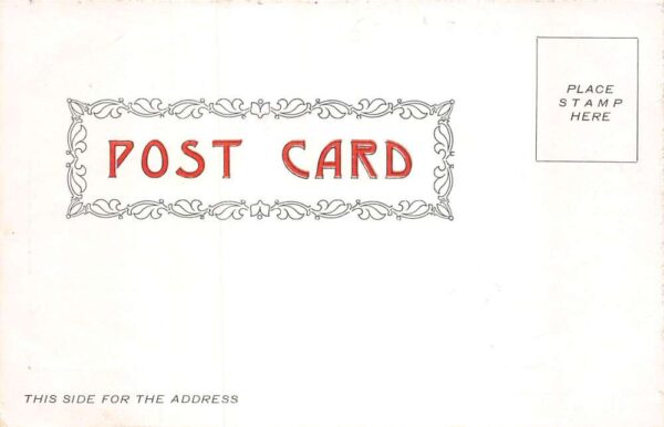 Oneonta New York Wilber Block in Flames Fire Disaster Vintage Postcard AA77483 - Image 2