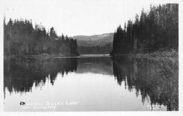 Quincy California Buck's Lake Scenic View Real Photo Postcard AA77634
