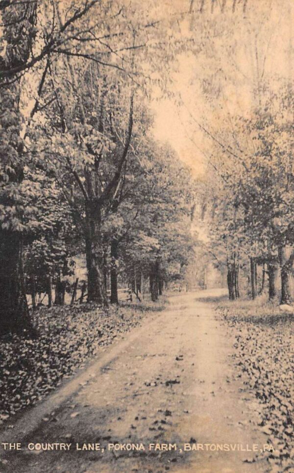 Bartonsville Pennsylvania Pokona Farm Country Lane Vintage Postcard AA77690