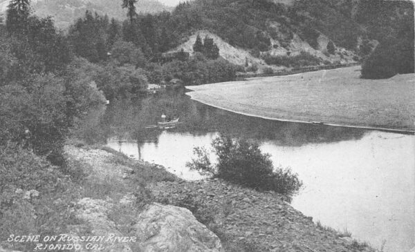 Rio Nido California Russian River Scenic View Vintage Postcard AA77702