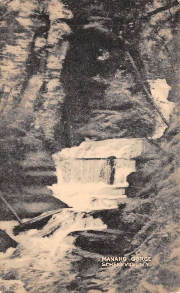 Schenevus New York Manaho Gorge Scenic View Vintage Postcard AA77709