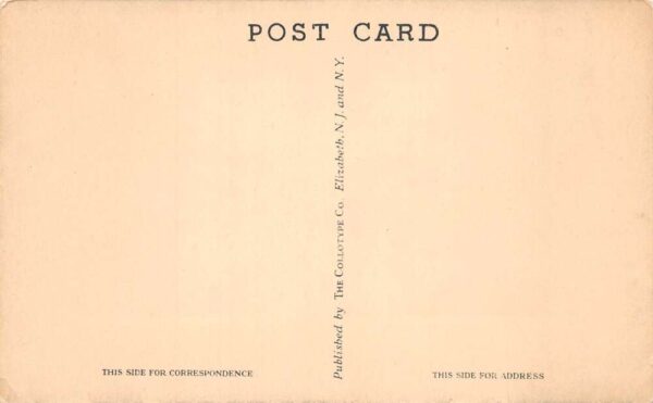 Schenevus New York Manaho Gorge Scenic View Vintage Postcard AA77709 - Image 2