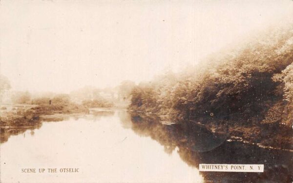 Whitneys Point New York Ostelic Scenic View Real Photo Vintage Postcard AA77764