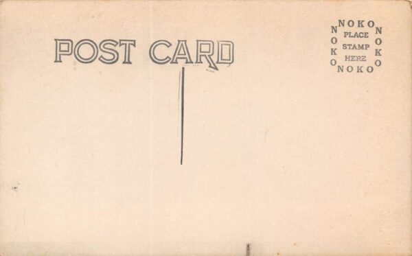 Dry Lake Nevada Mt. Peavine, Real Photo Vintage Postcard U15518 - Image 2