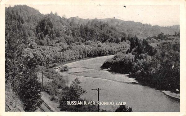 Rionido California Russian River, B/W Photo Print Vintage Postcard U15534