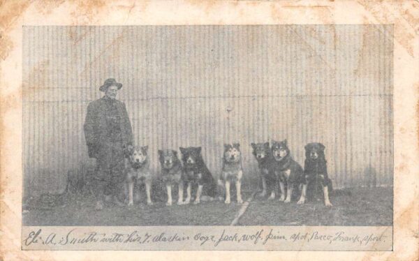 Eli Smith Dog Sled Team leaving Washington DC to Nome Alaska Postcard AA79444