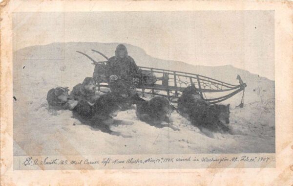Eli Smith Alaska Dog Sled Team Vintage Postcard AA79445