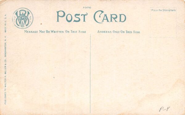Binghamton New York Driveway & Grounds, State Hospital, Vintage PC U16733 - Image 2