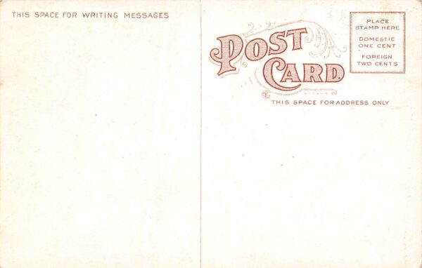 Baton Rouge Louisiana Third St., Mendelsohn's, Color Lithograph Postcard U16782 - Image 2