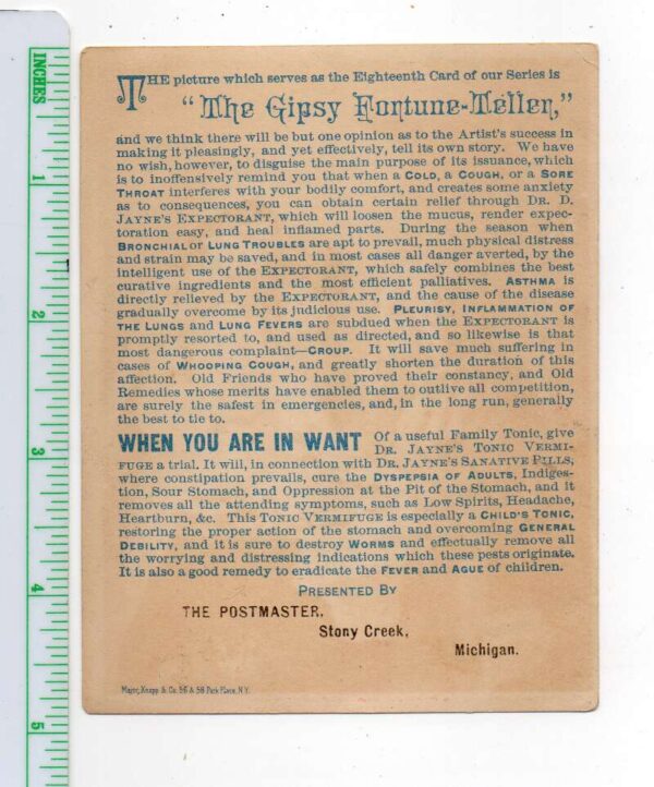 Stony Creek Michigan Medicine Ad "Gipsy Fortune Teller" Trade Card AA80890 - Image 2