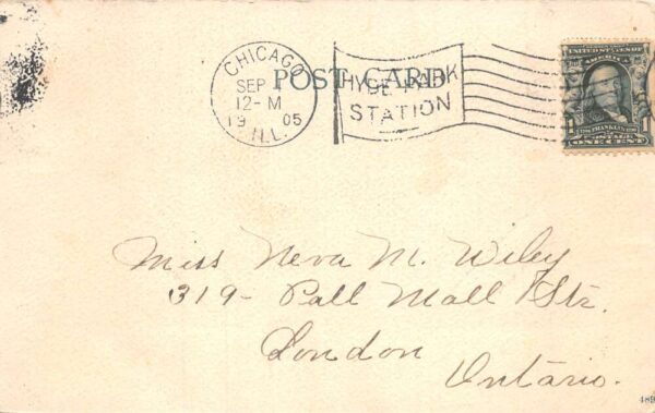 Chicago Illinois White Flyer SS City of South Haven and Fish Postcard AA80976 - Image 2