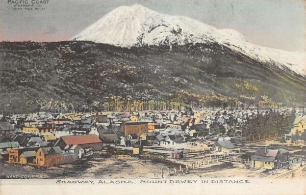 Skagway Alaska Mount Dewey in Distance Birds Eye View Vintage Postcard AA81016