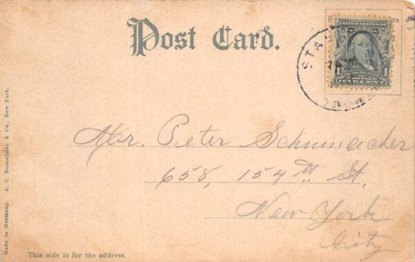 Cranberry Lake New York Forest Dirt Road Horse Carriage Vintage Postcard AA82341 - Image 2
