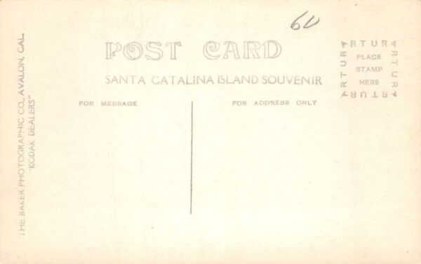 Avalon California Santa Catalina Island Ribbon Fish Real Photo Postcard AA82420 - Image 2