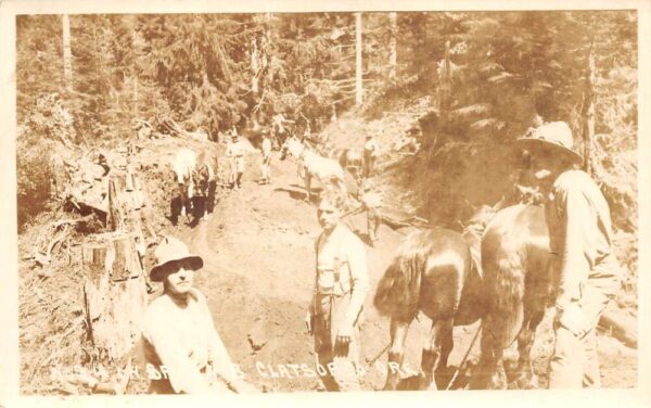 Clatsop County Oregon Logging Scene Real Photo Vintage Postcard AA82526