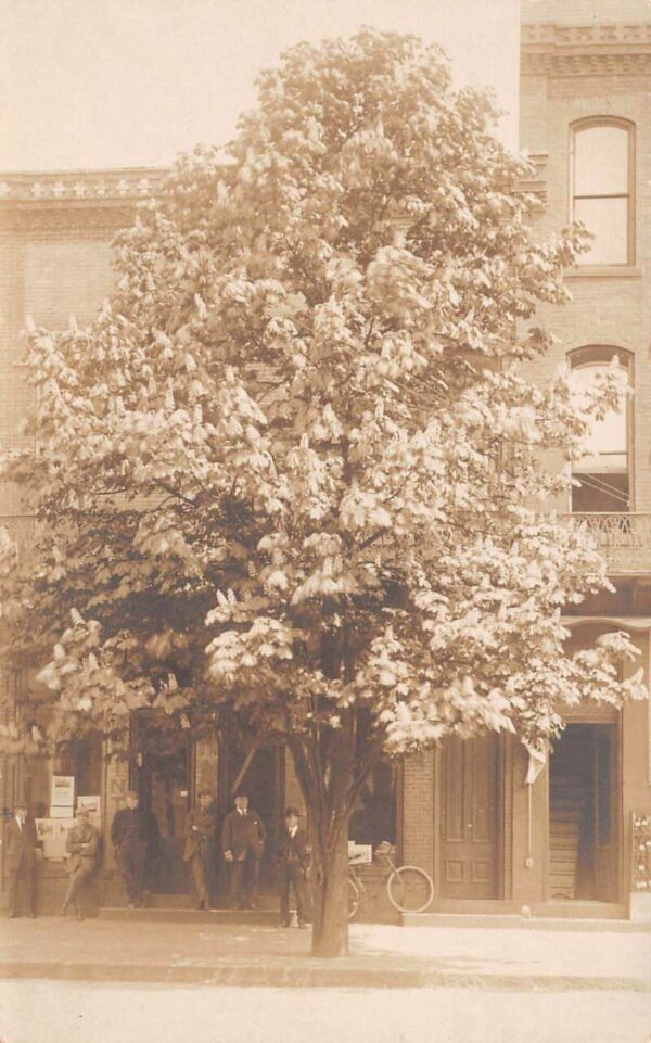 Tyrone Pennsylvania People Under Tree on Street Real Photo Postcard AA82625